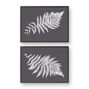 Australian Tree Fern Pair