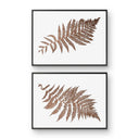 Australian Tree Fern Pair