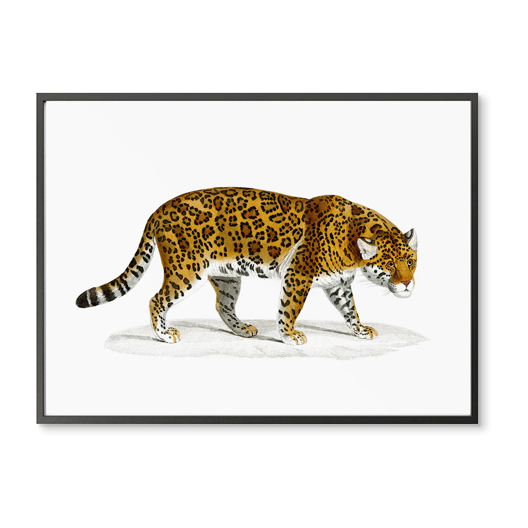 Chinoiserie Leopard Art Print | Multiple Colors Available | Wall Art ...