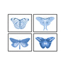 Hued Butterflies Set of 4