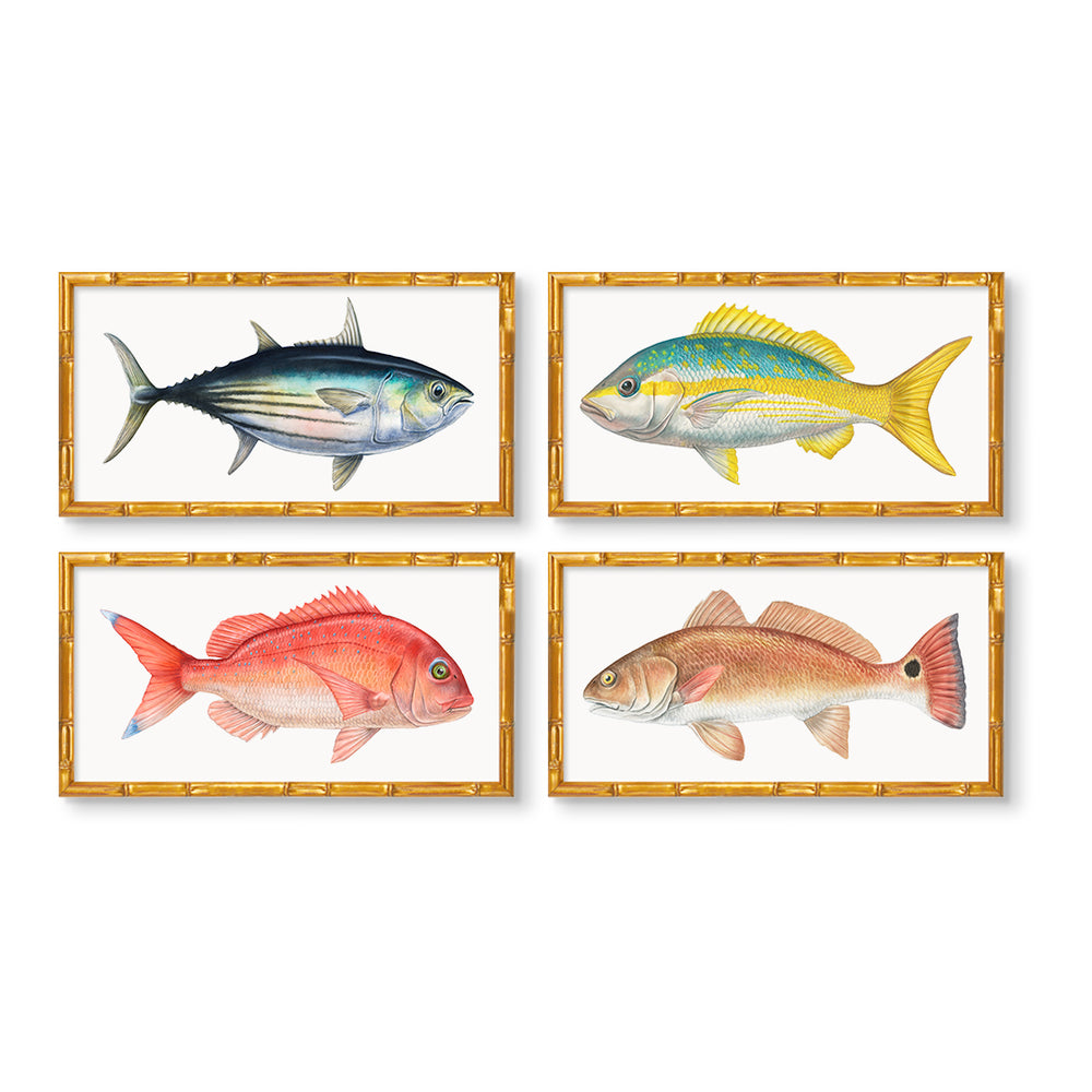 Carolina Fish Set of 4 by Charleston Blonde