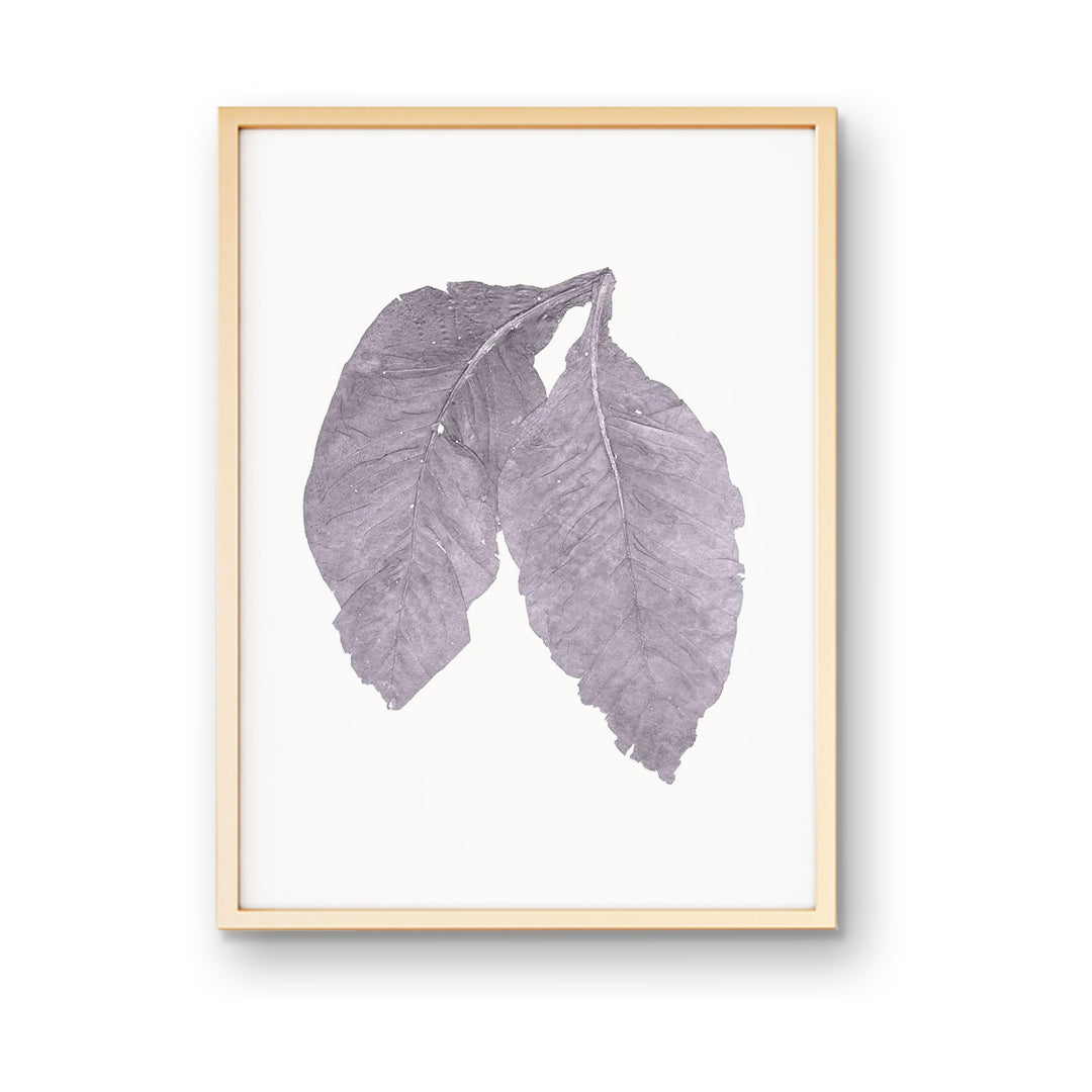 CarolinaGoldLeaves-CrispGray-