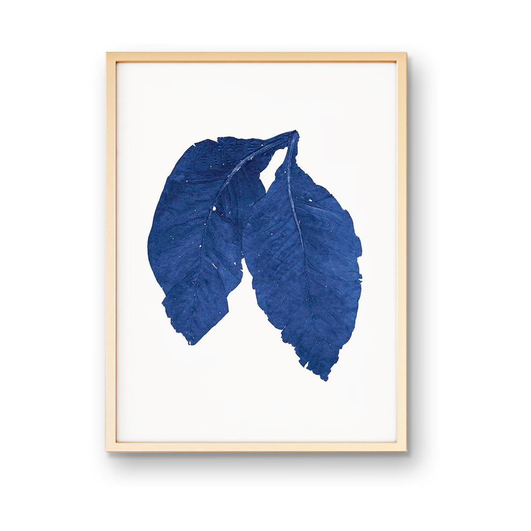 Tobacco Leaves Print | Hand Pressed Leaf | High End Wall Art