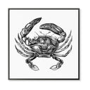 Vintage Crab No. 3