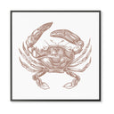 Vintage Crab No. 3