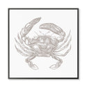 Vintage Crab No. 3