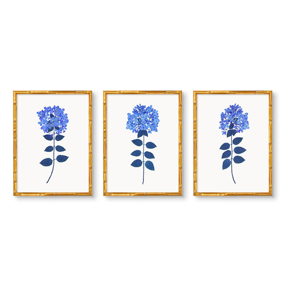 DriedHydrangeaNo2-Blue-Trio-