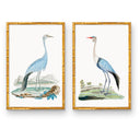 Elegant Beauty Pair