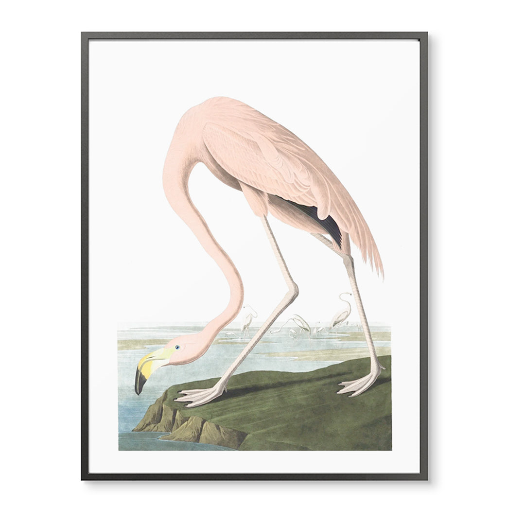 Vintage Flamingo on the Rock
