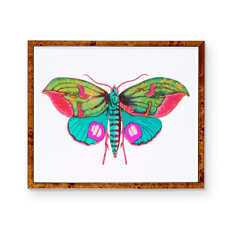 Butterfly Wall Art Print | Butterfly Triptych | Multiple Sizes – Urban ...