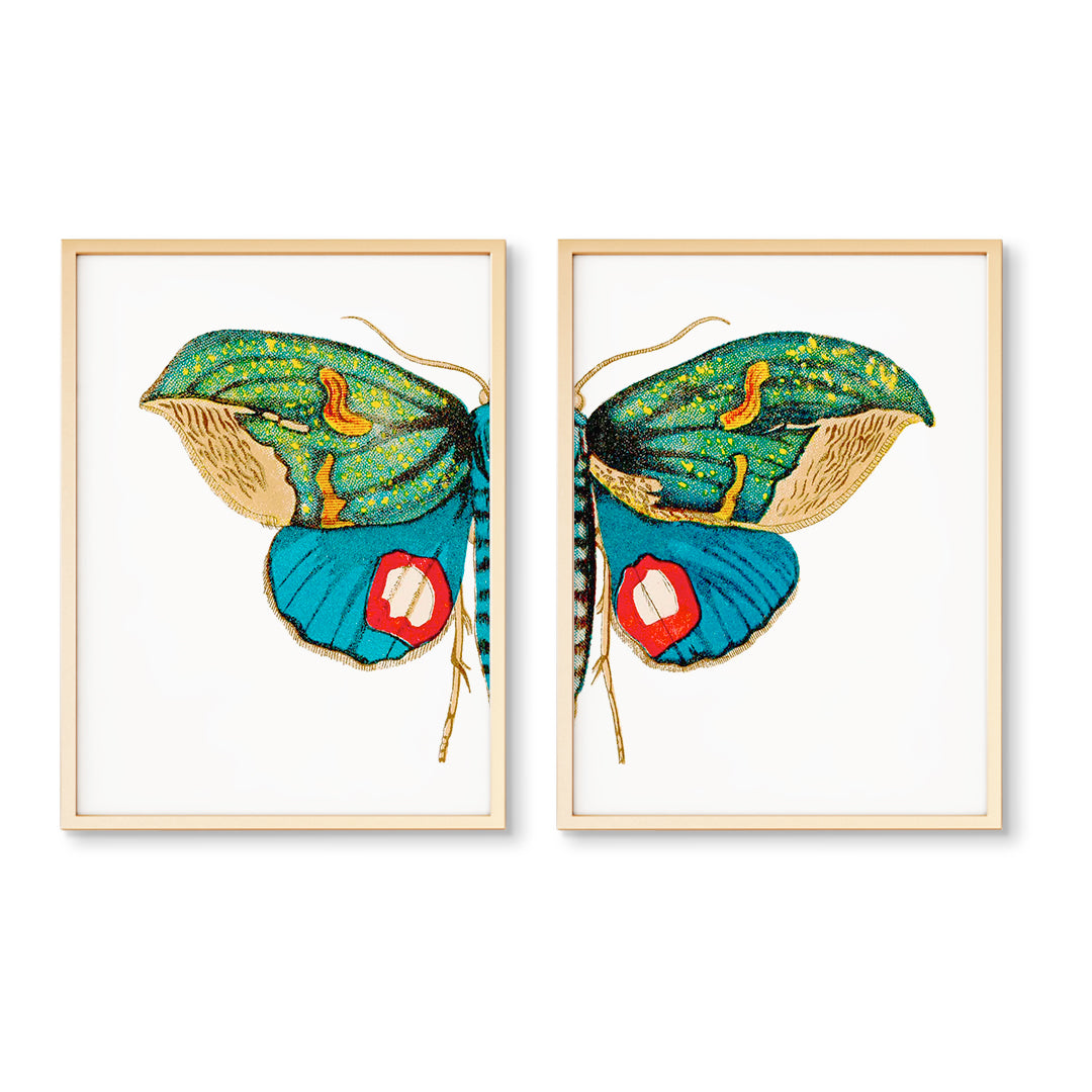 Butterfly Wall Art Print | Butterfly Triptych | Multiple Sizes – Urban ...