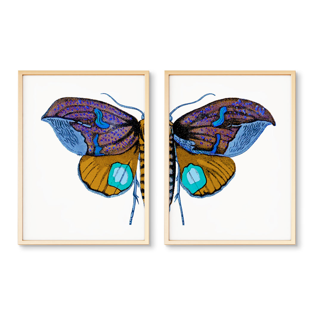 Framed Multi sale Butterfly Painting