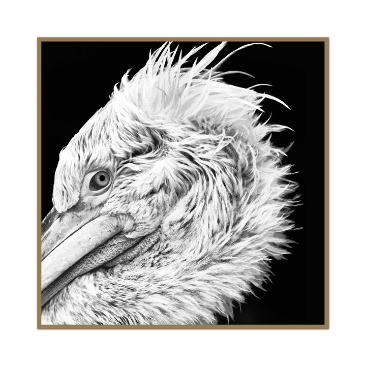 Pelican Nobility Art Print | Coastal Bird Photography | Beach House Art