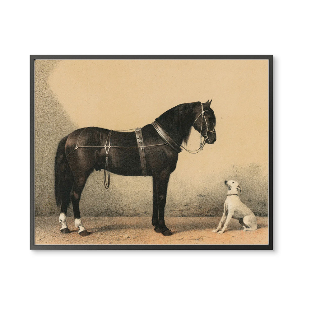 Horse and Dog