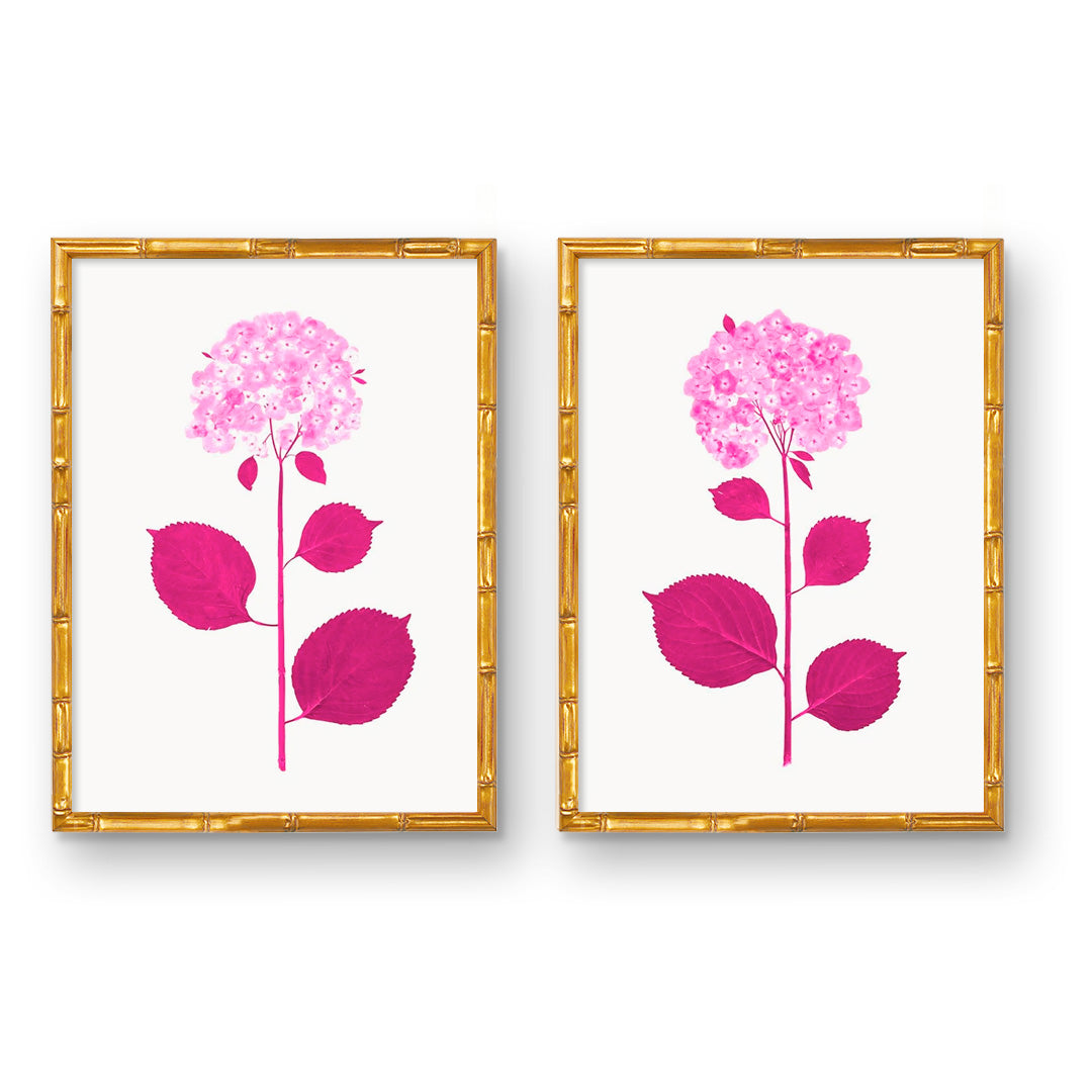 Hydrangea-Live-BerryPink-Pair-