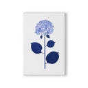 Live Hydrangea Single