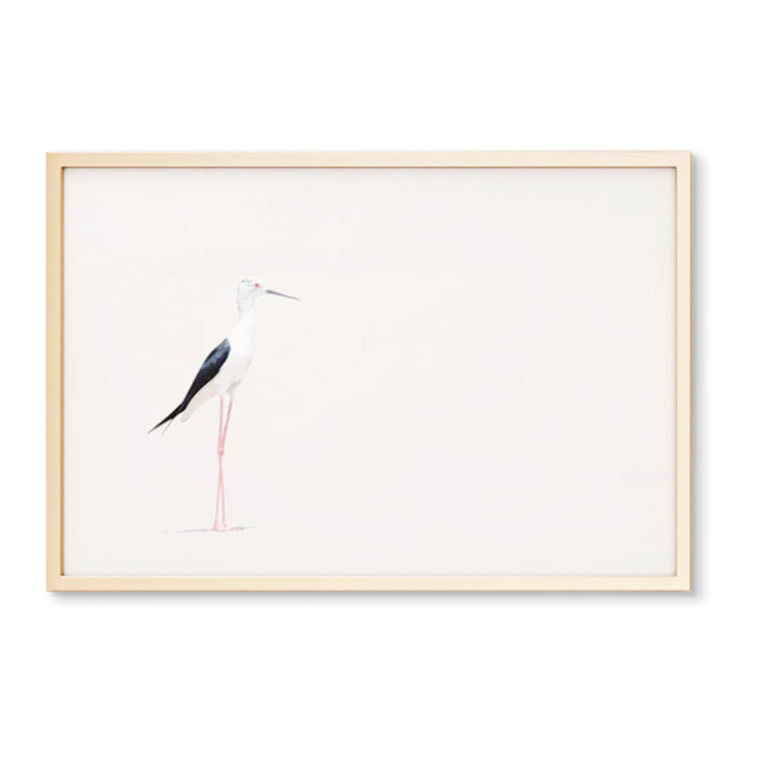 Minimalist Shorebird Art Prints | Coastal Bird Wall Art | Wholesale ...