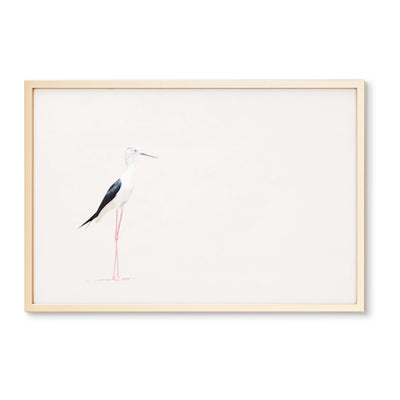 Minimalist Shorebird