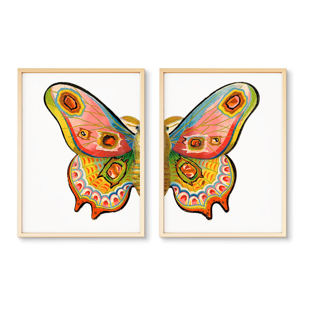 Multicolored Moth Split