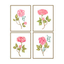 Peony Set of 4 by Oh So Lovingly