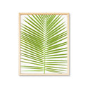 Palm Frond Single