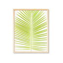 Palm Frond Single