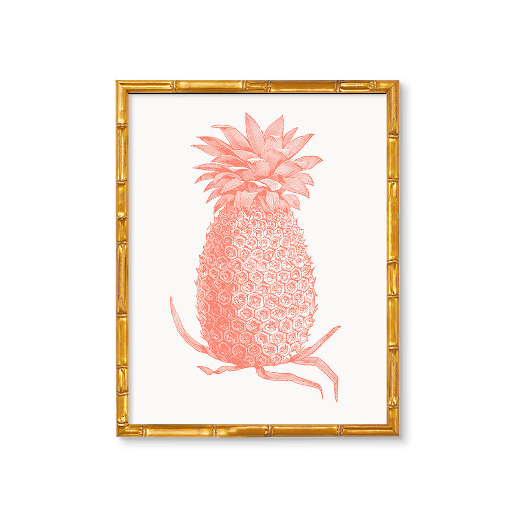 Vintage Pineapple