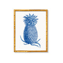 Vintage Pineapple