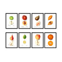 Vintage Fruit Set of 8