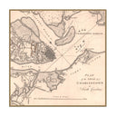 Vintage Charleston Map