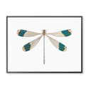 Teal Tipped Dragonfly