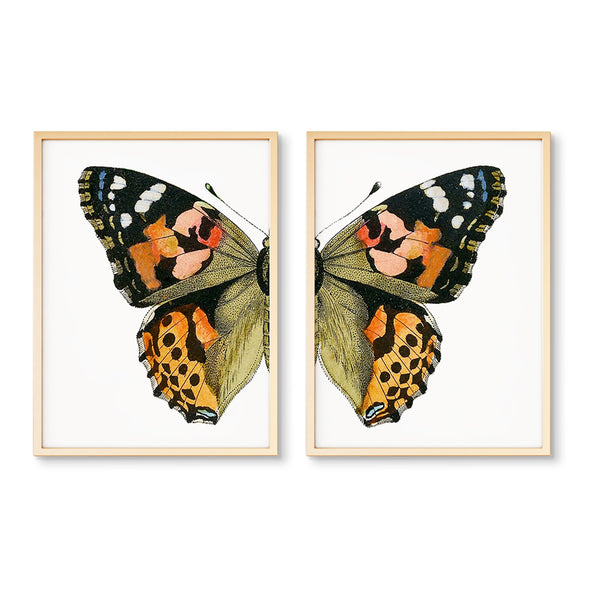 Split Butterfly Wall Art Print | Butterfly Triptych | Multiple