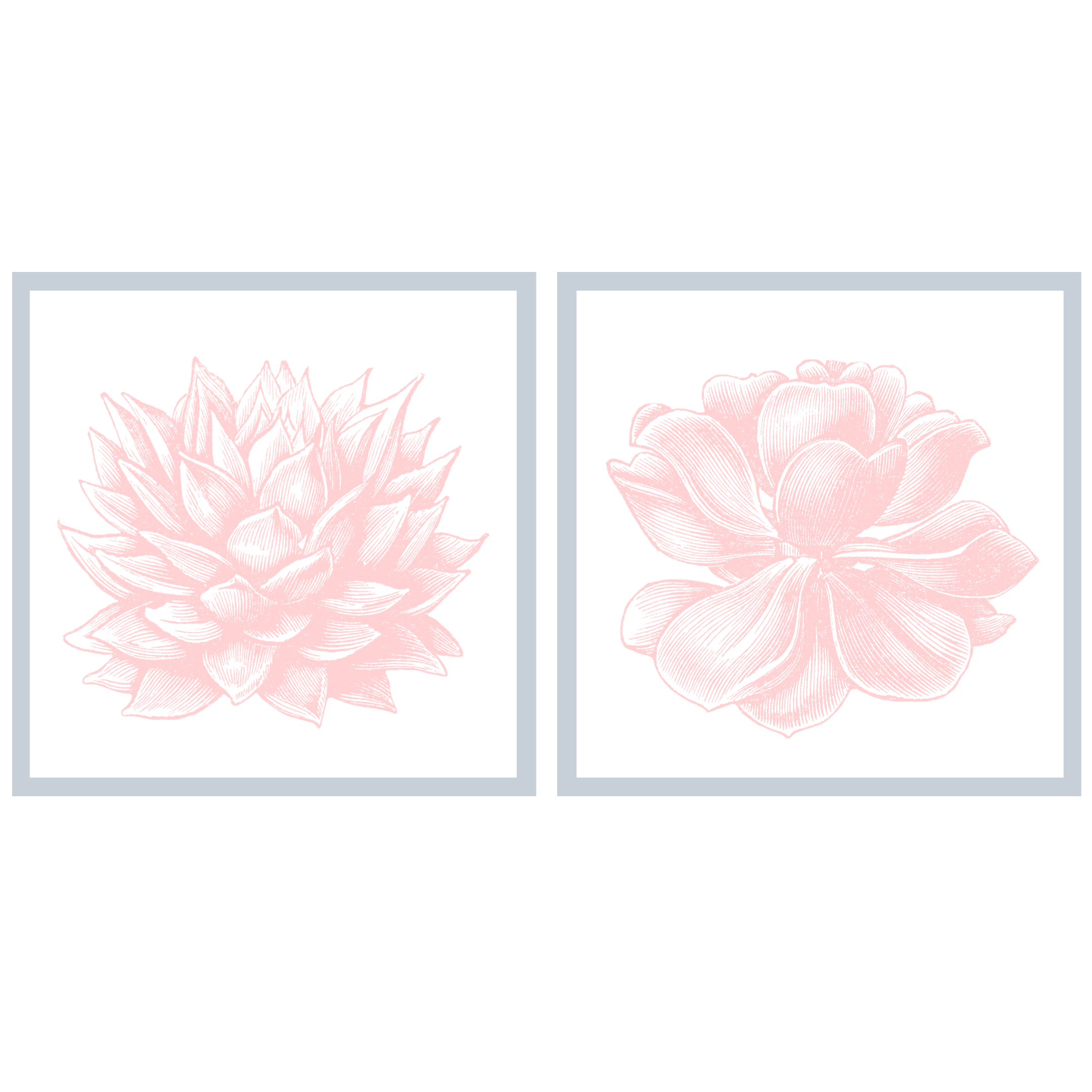 vintage succulent illustration Succulent Illustration Set of Art | Vintage Plant Wall Art