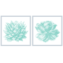 Succulent Illustration Pair