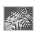 Diagonal Palm Frond