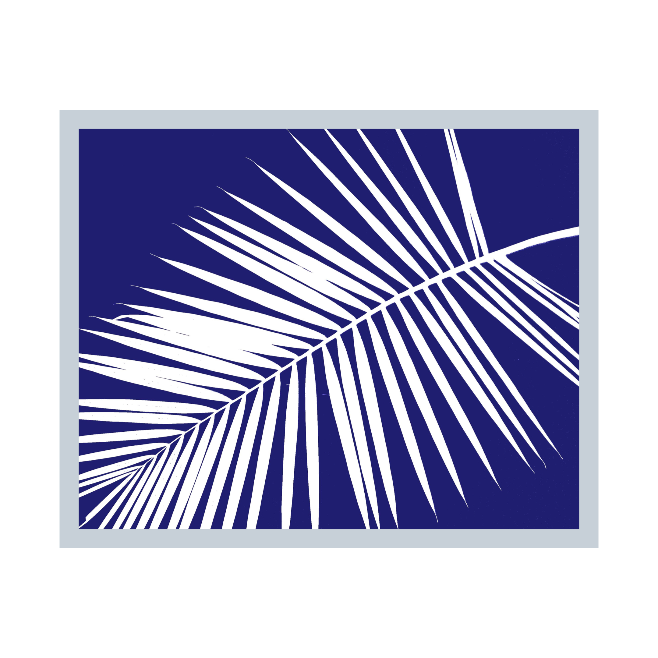 Diagonal Palm Frond