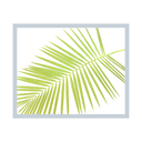 Diagonal Palm Frond