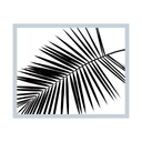 Diagonal Palm Frond