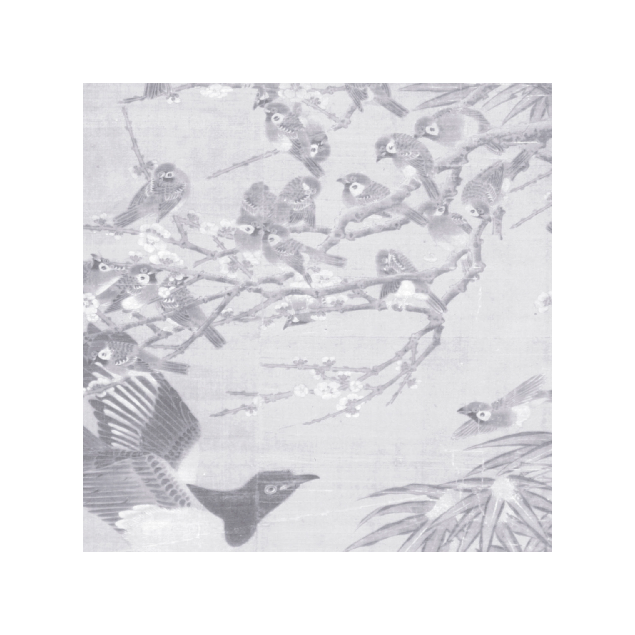 Chinoiserie Color Print Samples