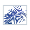 Diagonal Palm Frond