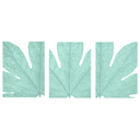 Fatsia Leaf Closeup Set of 3