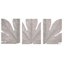 Fatsia Leaf Closeup Set of 3