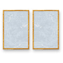 Vintage Bird Mural Pair