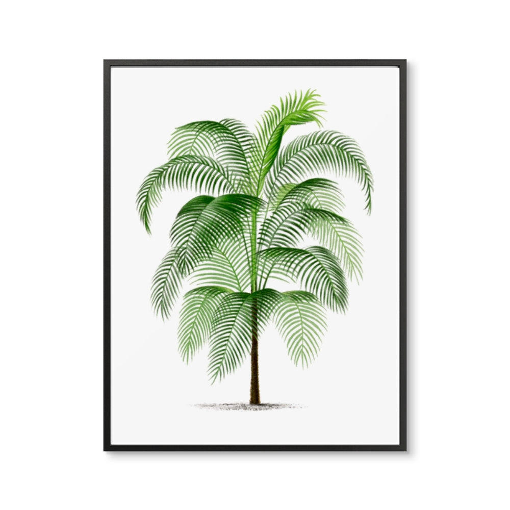 Vintage Large Palm