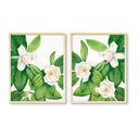 Vintage Magnolia Pair No. 1