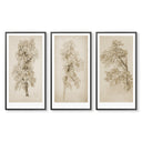 Vintage Tree Sketch Trio
