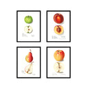 Vintage Fruit Set of 4